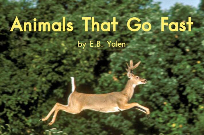 《Animals That Go Fast跑得很快的动物》英文原版绘本pdf资源免费下载