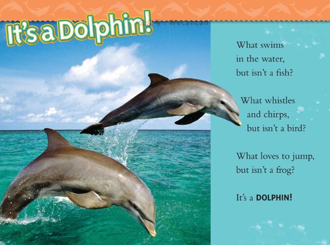 《Dolphins》国家地理第2级绘本pdf资源免费下载