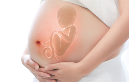 【生男孩b超图】2个月怀男孩b超图片怀孕两个月男孩b超图