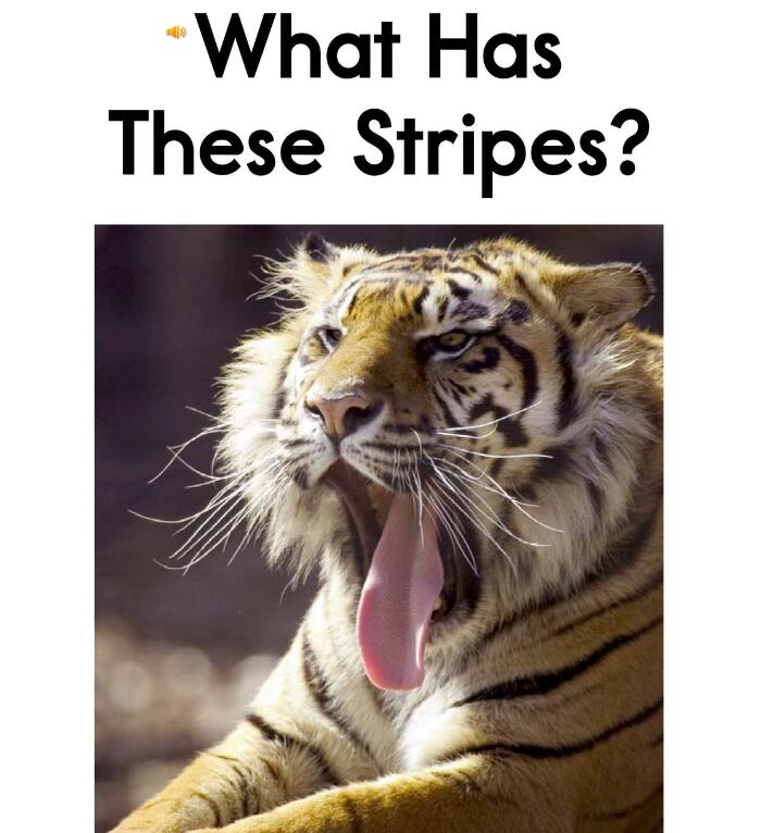 《What Has These Stripes》RAZ分级绘本pdf资源免费下载