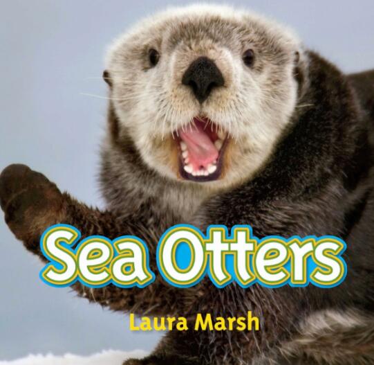 《Sea Otters》国家地理分级绘本pdf资源免费下载