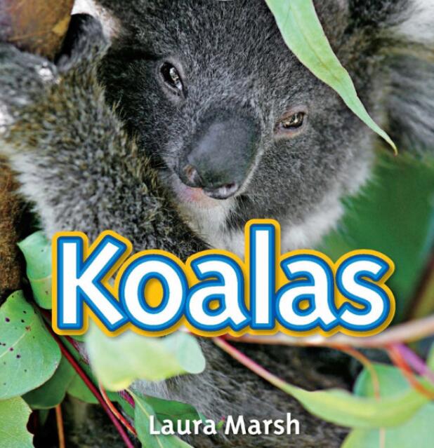 《Koalas》国家地理分级绘本pdf资源免费下载