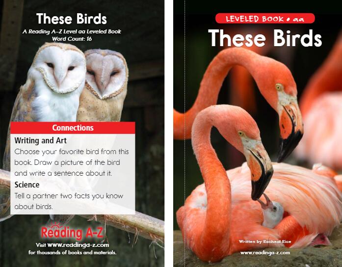 《These Birds鸟儿》美国Raz分级阅读绘本pdf资源免费下载