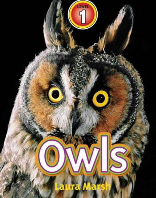 《Owls》国家地理分级绘本pdf资源免费下载