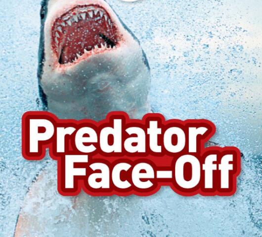 《Predator Face-Off》国家地理分级绘本pdf资源免费下载