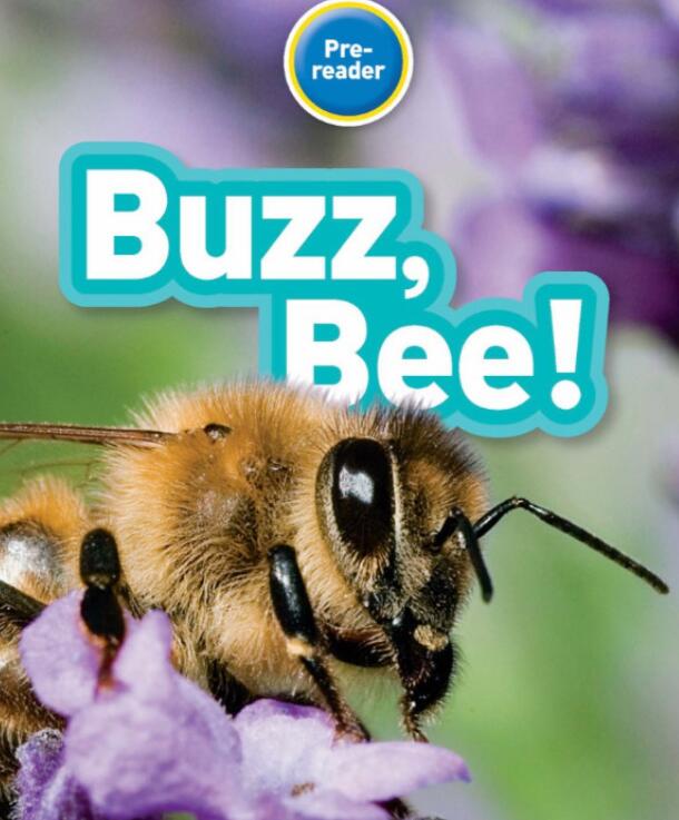 《Buzz Bee》国家地理分级绘本pdf资源百度网盘免费下载