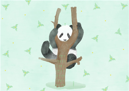 小熊猫找吃的故事