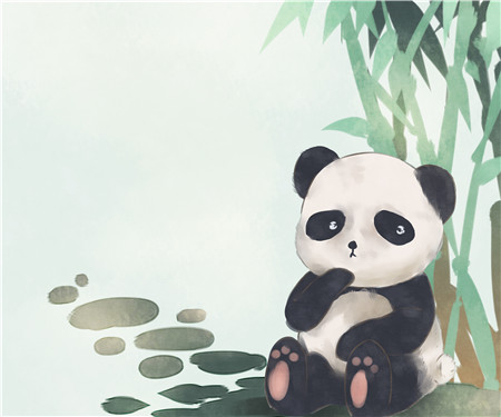 故事孤独的熊猫咪咪