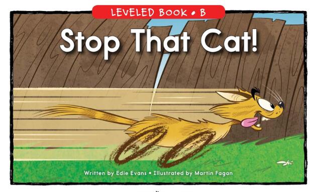 《Stop That Cat》英语绘本pdf资源免费下载