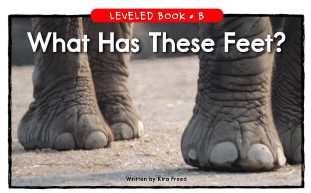 《What Has These Feet》英语绘本pdf资源免费下载