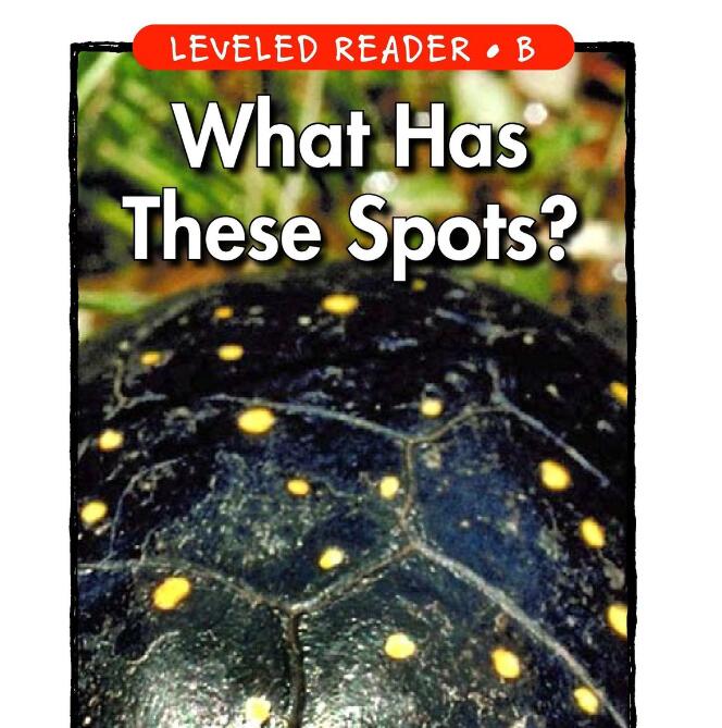 《What Has These Spots》幼儿园绘本pdf资源免费下载