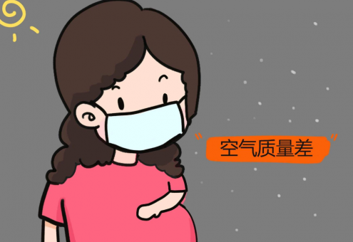 怀孕强指南，居家空气环境必须要知道的知识点