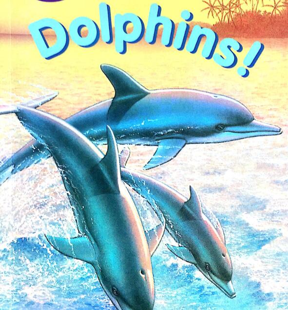 《Dolphins》兰登英语分级阅读绘本pdf资源免费下载