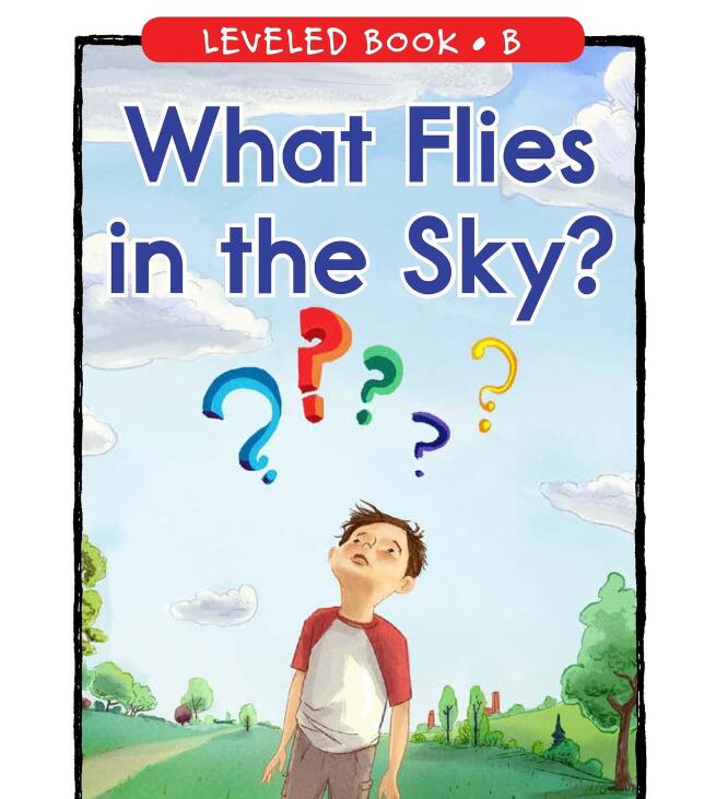 《What Flies in the Sky》绘本pdf资源百度网盘免费下载