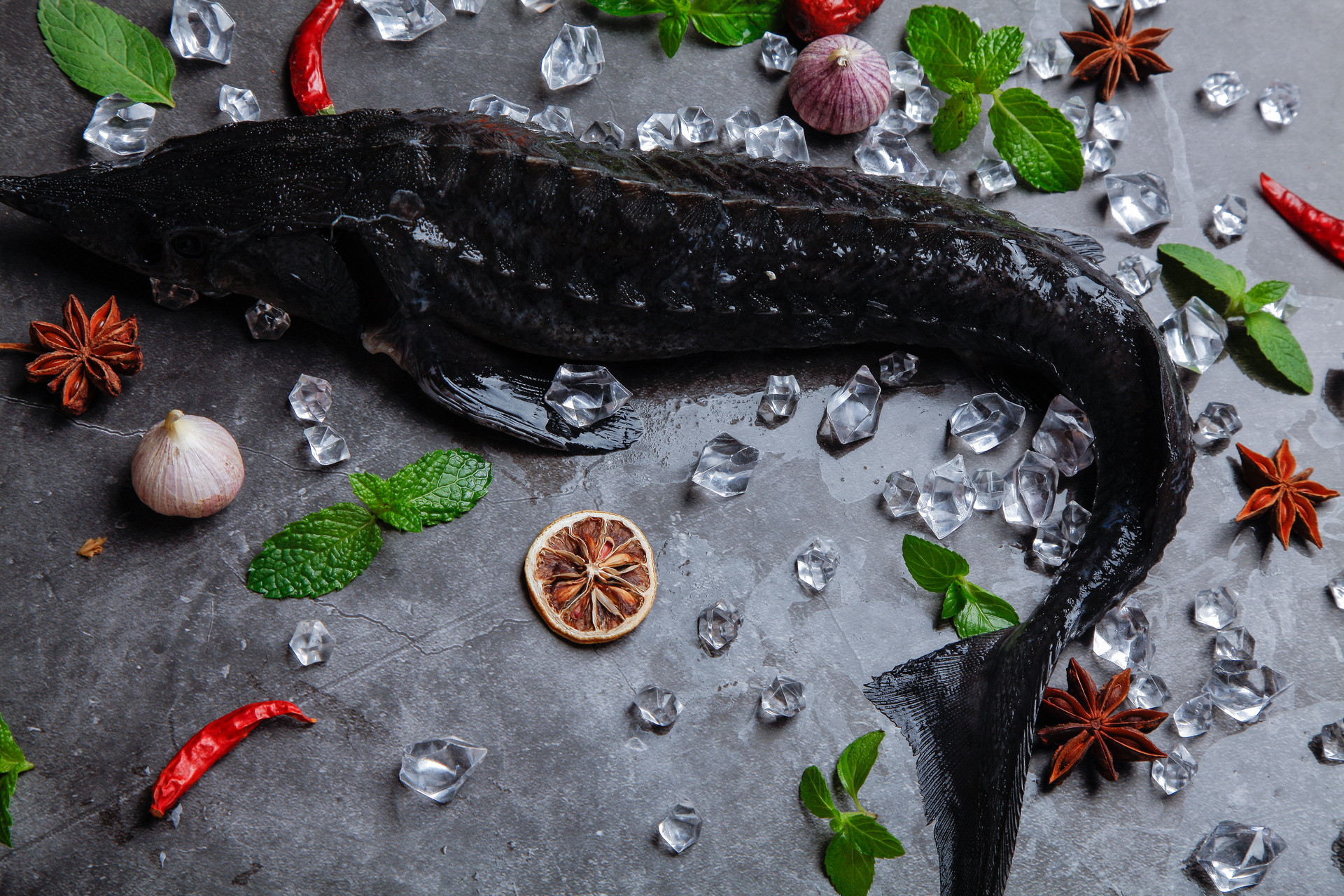 黑鱼为什么吃了有助于伤口愈合