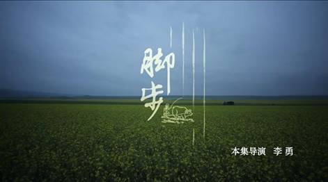 舌尖上的中国第2季第1集解说词：脚步饮食快报