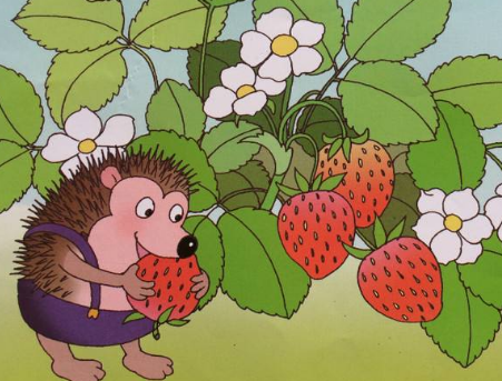小草莓的故事睡前故事