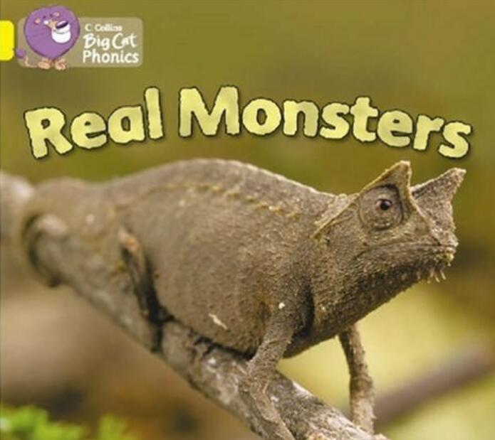 《Real Monsters》自然拼读绘本pdf资源免费下载