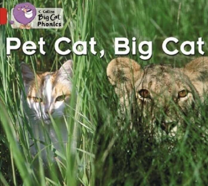 《Pet Cat,Big Cat》自然拼读绘本pdf资源免费下载