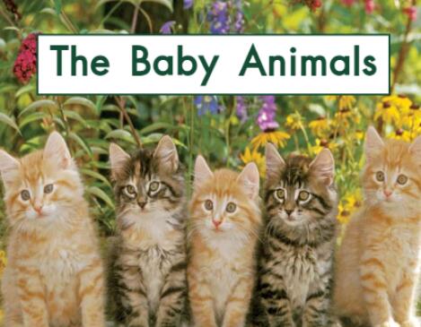 少儿英语绘本故事《the baby animals小动物们》pdf资源免费下载