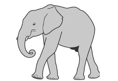 大象认输的故事点评