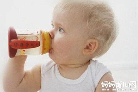 选水杯也要分年龄 宝宝几个月用学饮杯合适