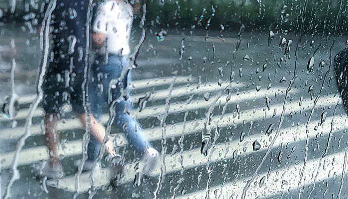 下雨天为什么还要洒水 雨天为啥要洒水