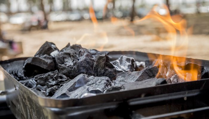 山西为什么煤炭资源丰富 山西为什么有这么多的煤炭资源