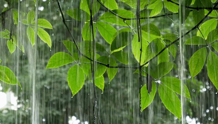 广西部分地区暴雨来袭 南宁未来三天多阵雨