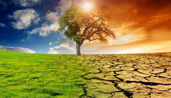 干旱的危害有哪些 干旱危害是什么