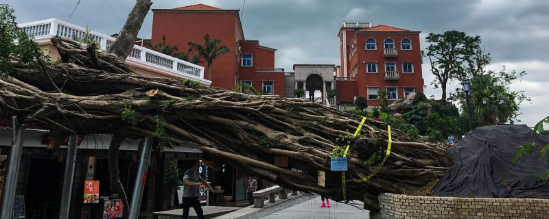 中国地震带分布在哪些地方 中国地震带分布在什么地区