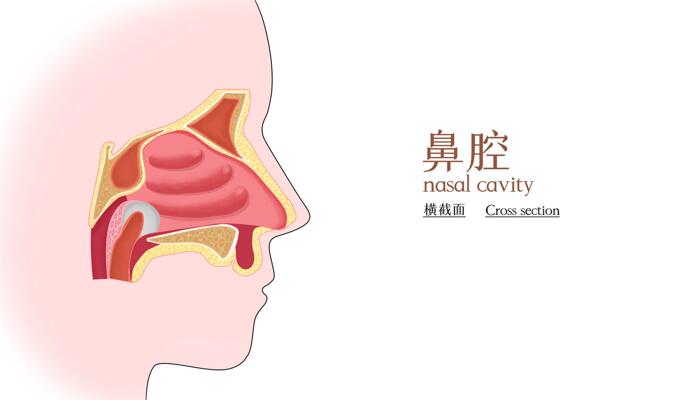 挖鼻孔会带来3个不良后果 鼻子有鼻屎要怎么清理好