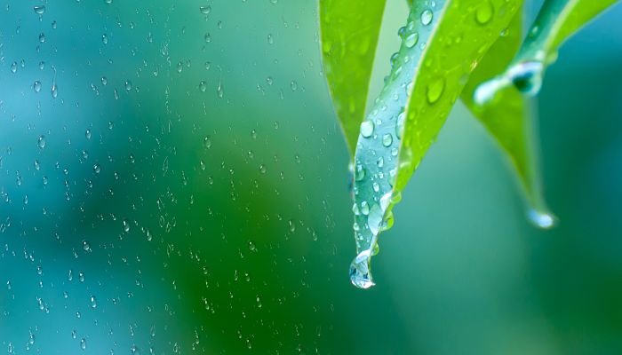 今浙江中南部有明显降水局部暴雨 杭州端午假期雨水逐日加强