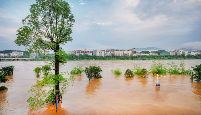 贵州多地特大暴雨致河水暴涨农田被淹 今明仍有暴雨大暴雨特大暴雨