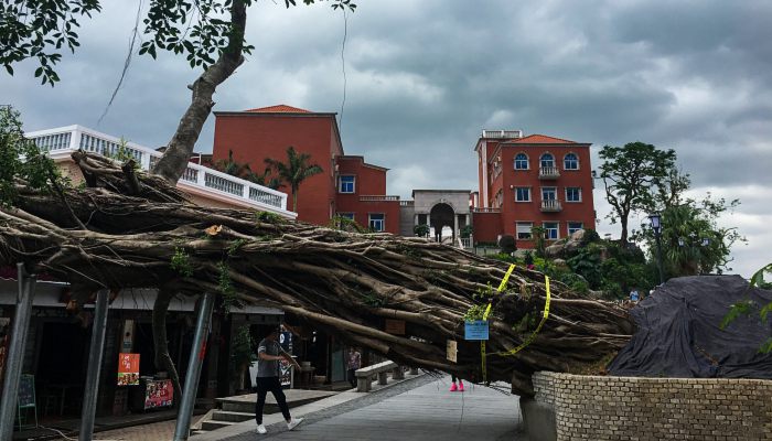 震群型地震特点 震群型地震特征