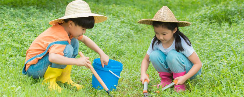 广东6月份适合种植什么菜 广东6月份种植什么农作物