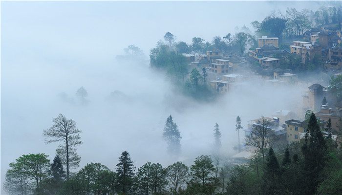 雾霾天气的危害及防护 雾霾天气的危害与防范