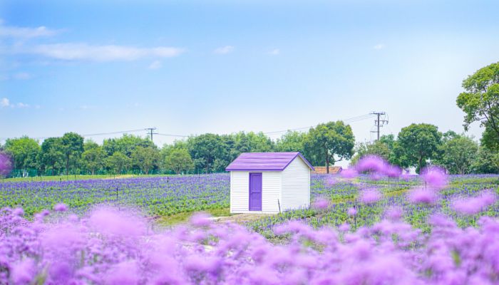 河南2022年中小学暑假时间 河南放暑假安排2022最新通知