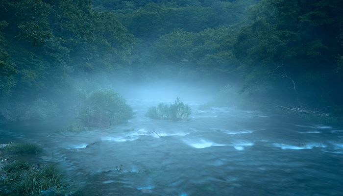 平流雾最容易出现的季节 平流雾最容易发生的季节