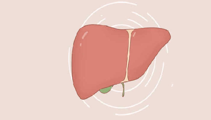 研究称肝脏年龄始终不超3岁 几乎所有成年人肝细胞年龄大致相同
