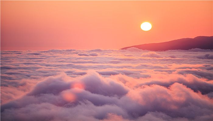 大暑之前的节气是什么 大暑前的节气是哪个节气