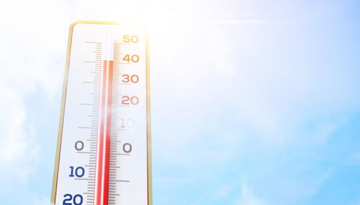 葡萄牙约有235人死于高温天气 欧洲多国遭遇40℃以上极端高温