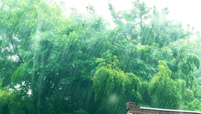 今河南强降雨再度来袭局部大暴雨 郑州发布暴雨黄色预警