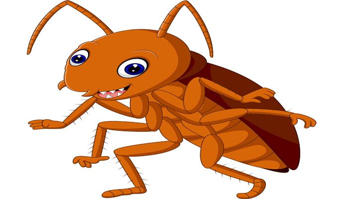 蟑螂为什么不能踩死 蟑螂为什么不可以直接踩死