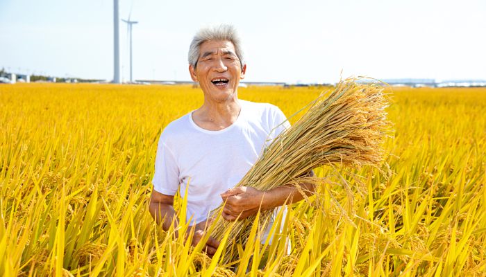 立秋有哪些节日风俗 立秋包含什么节日习俗