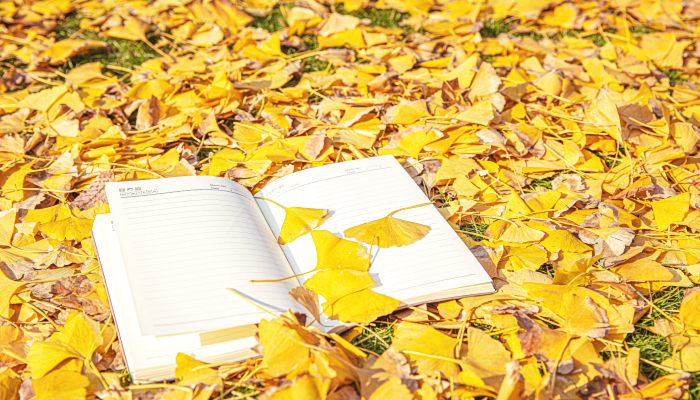 十月份天气热不热 10月天气还是热的吗