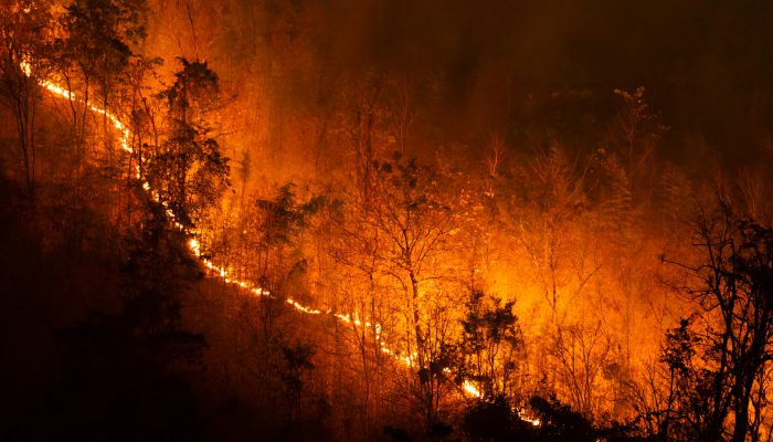 森林火灾高发时间段 森林火灾多发时期