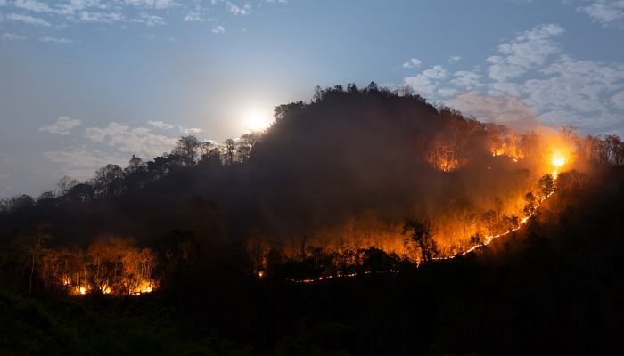 森林火灾高发时间段 森林火灾多发时期