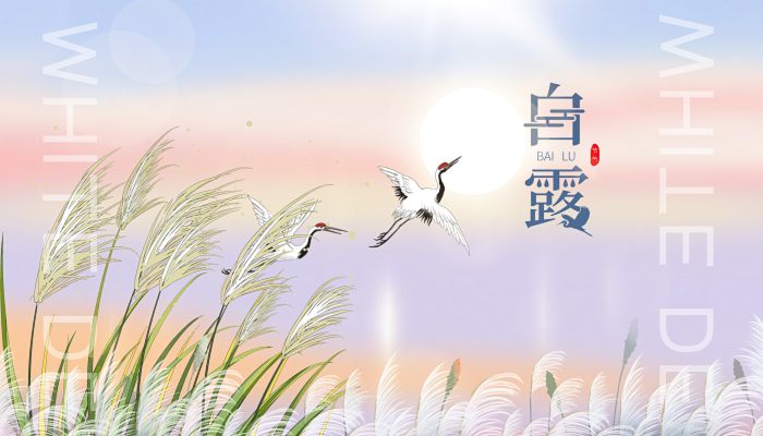 2022白露节气是几月几号 今年白露节气是哪一天