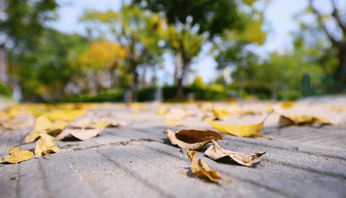 白露节气南方仍夏北方渐次秋 登陆我国台风“狠角色”最多